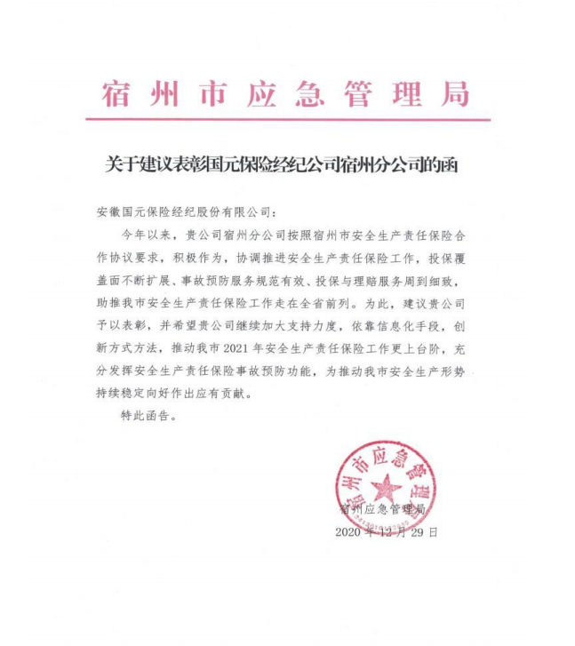 宿州市應(yīng)急局對我司的表彰函